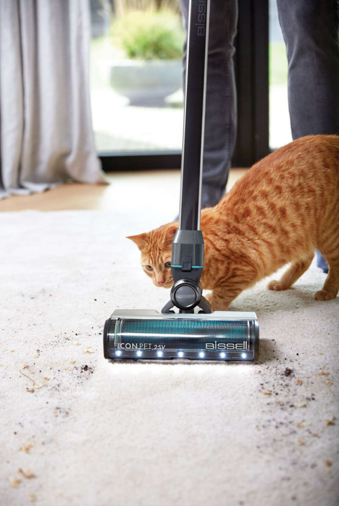 3 tips to keep your interior clean when you have a pet 1