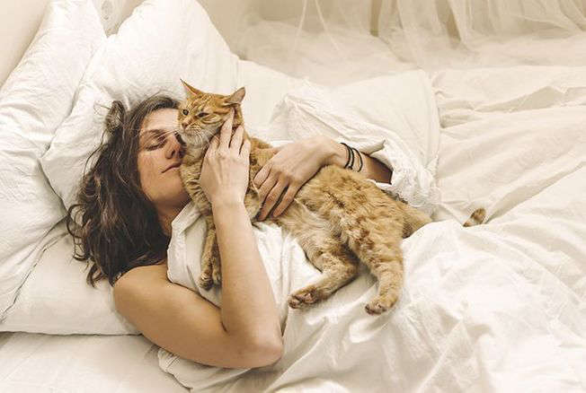 © iStock The trick for a cat to sleep and no longer wake us up at night.