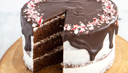 Chocolate Peppermint Cake 3