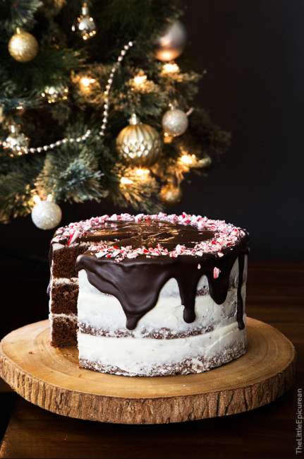 Chocolate Peppermint Cake 9