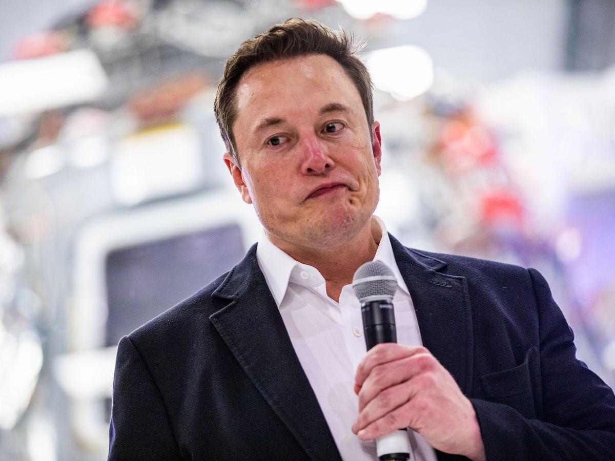 Elon Musk’s brain-chip startup is beneath investigation later monkey exams for doubtlessly transferring bad pathogens 3