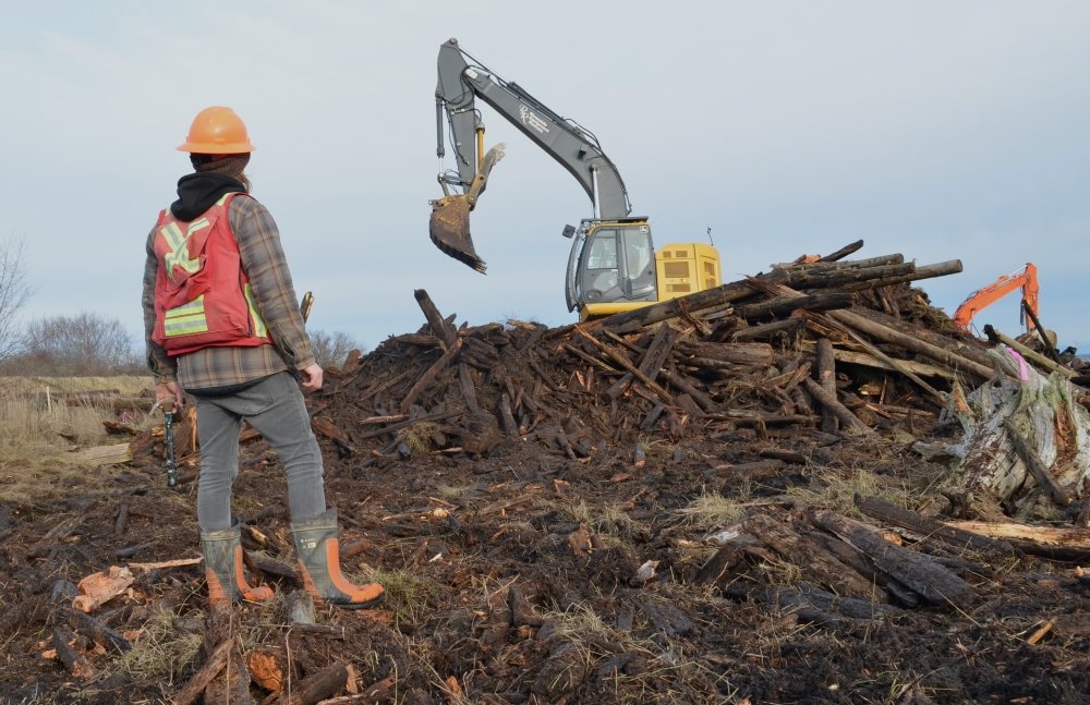 Search for climate corrections in Boundary Bay Marsh 15