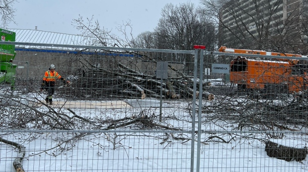 Moss Landscape citizens are enraged then Metrolinx axed 61 timber to develop the Ontario Form 3