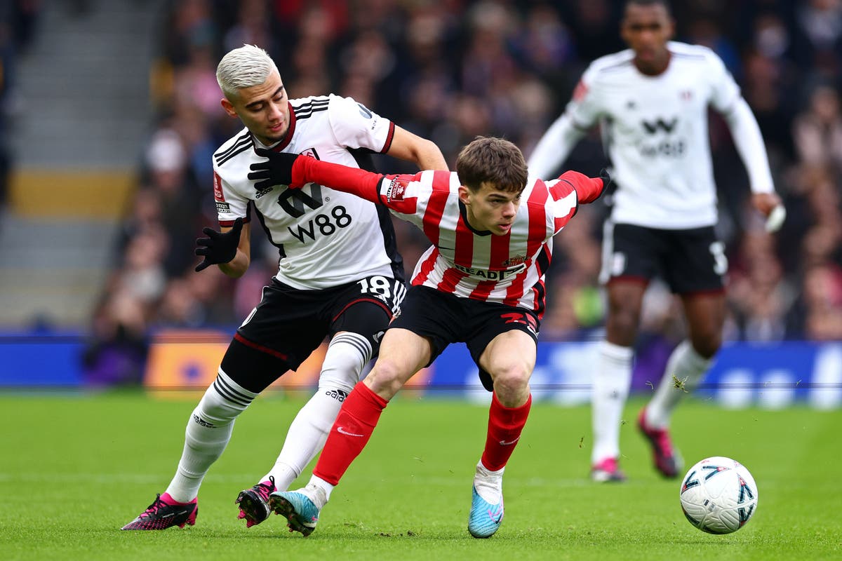 Sunderland vs Fulham Reside: How can I watch the FA Cup FREE on TV in the United Kingdom lately? 7
