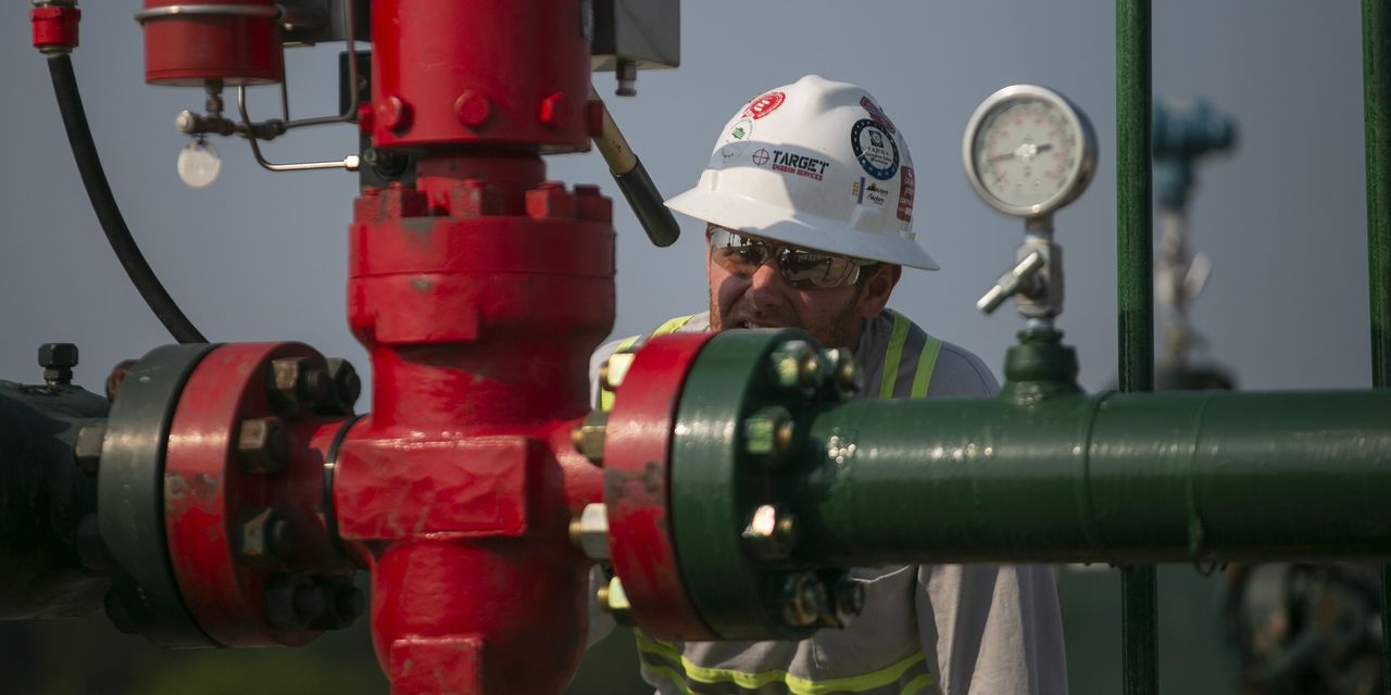 Herbal gasoline: fix your seatbelts 7