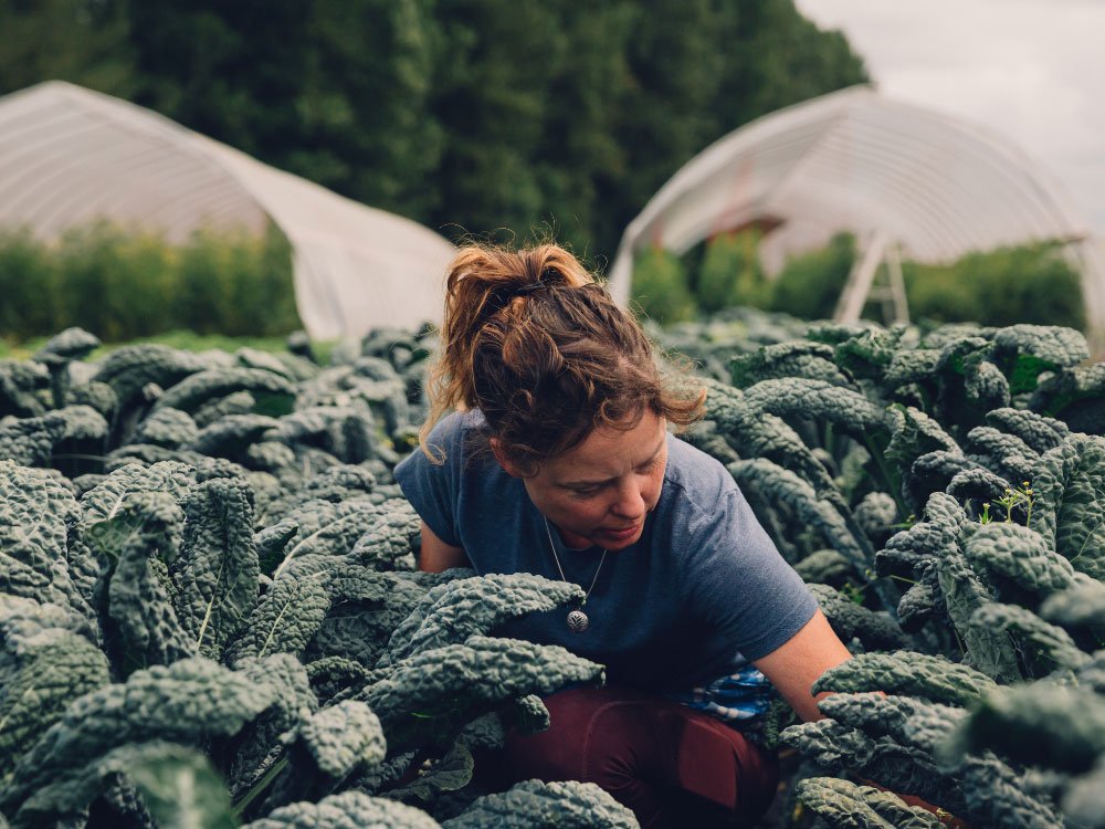 Fresh produce straight from your local farm 3