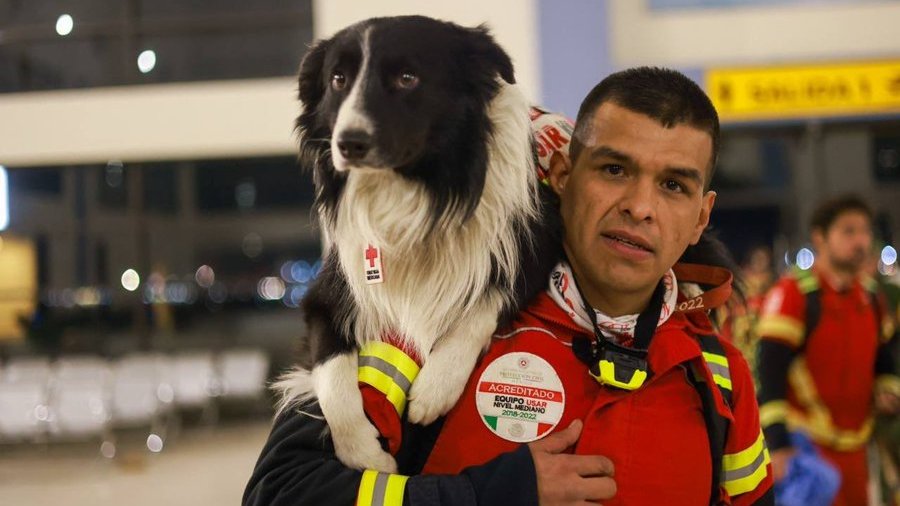 Earthquake in Turkey: Mexico sends its famous search and rescue dogs 3