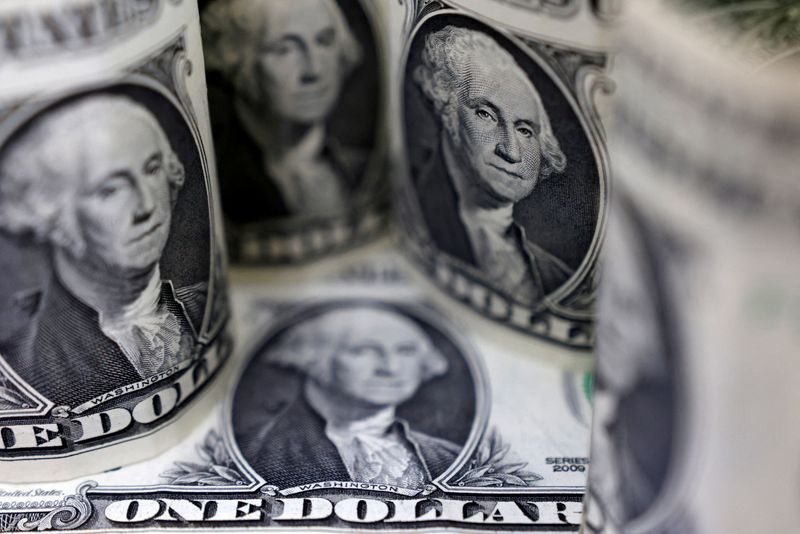 Dollar brisk as robust US data keeps Fed hawks in check 3