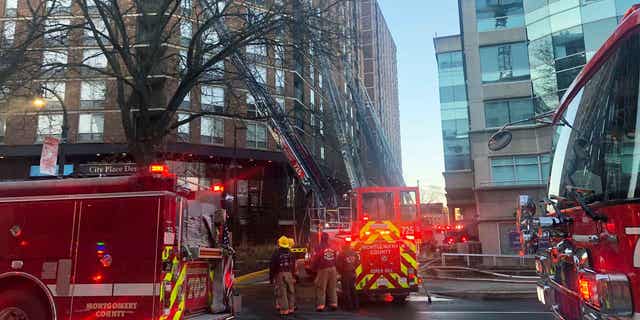 Washington DC-area apartment building fire kills 1, displaces over 400 residents 7