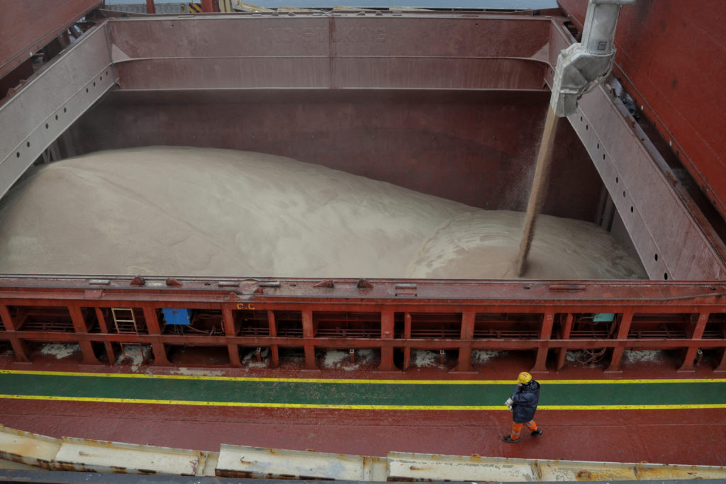 Ukrainian grain shipments plummet as officials accuse Russia of inspection backlogs 17
