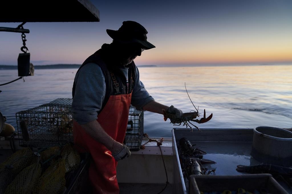 Exploring the Potential Impact of New Lobster Size Regulations in New England 19