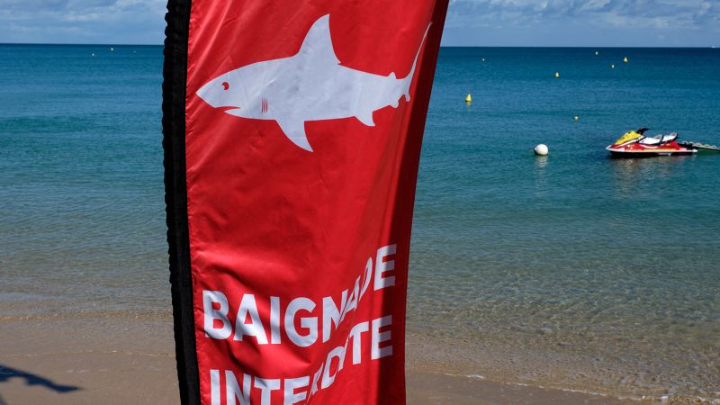 Shark attack: an Australian tourist killed in New Caledonia 3