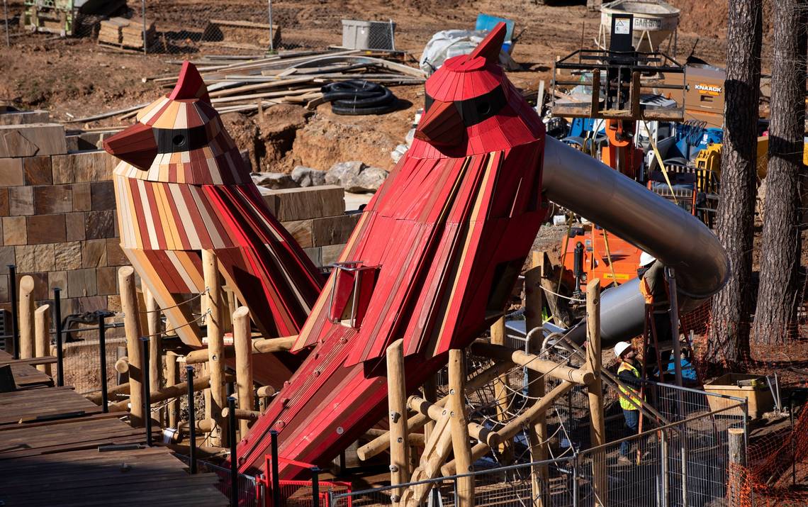 "Ruffled Feathers: How Two Giant Cardinals Ended Up in Downtown Cary Park" 17