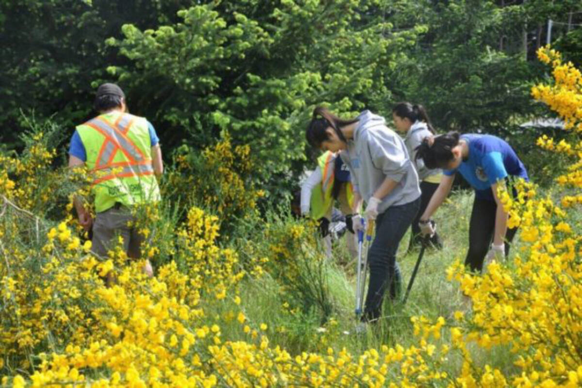 Motion to smash the broom coming to the Vancouver Island municipal meeting this spring 5