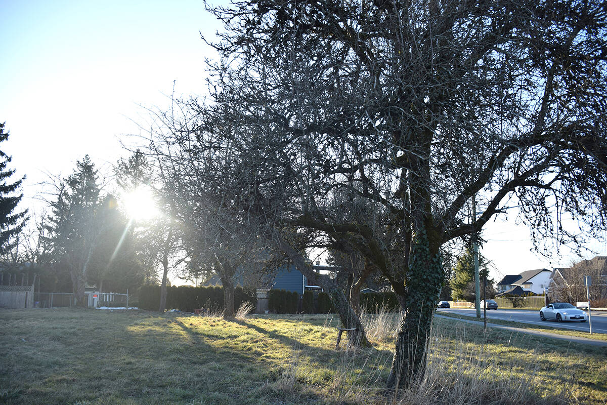 White Rock’s Unlit Historical past: Delaying Immigrants is a part of the federal plan 15