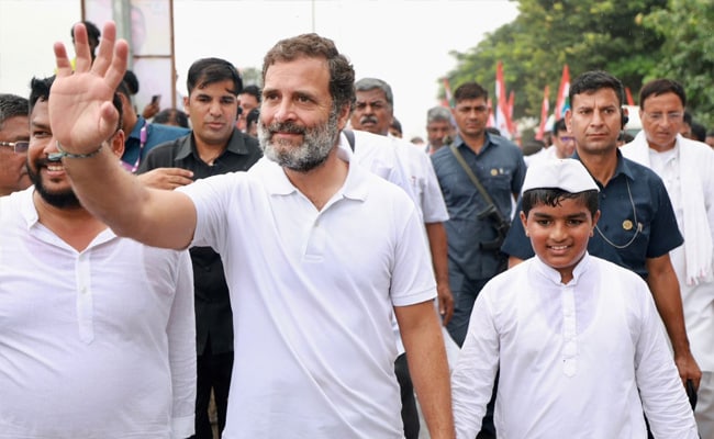 Rahul Gandhi nearly vacate India Jodo Yatra over knee ache: Congress chief 3