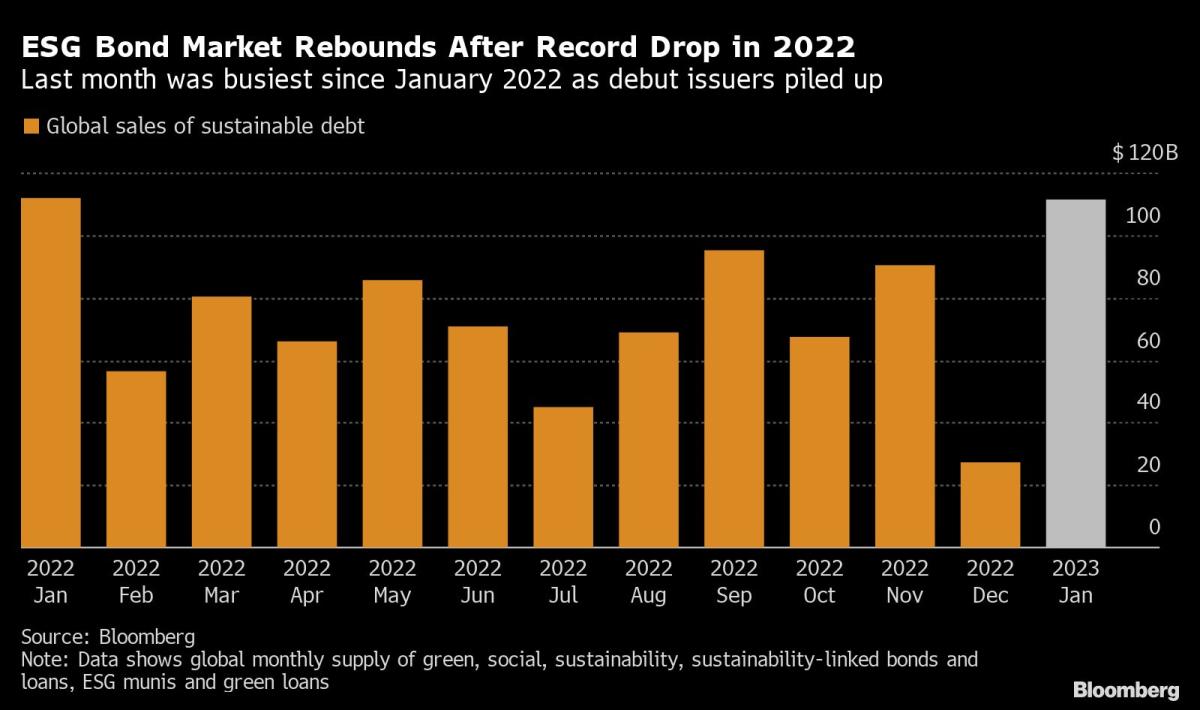 Saudi Wealth Fund raises $5.5 billion from green bond sale 11