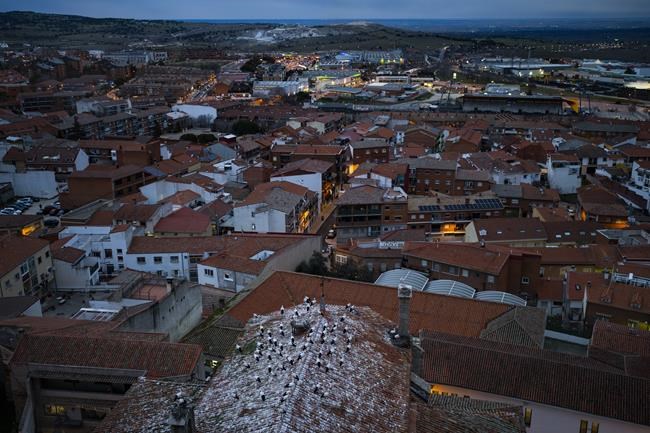 In Spain, the garbage diet of storks is being driven by climate change 3