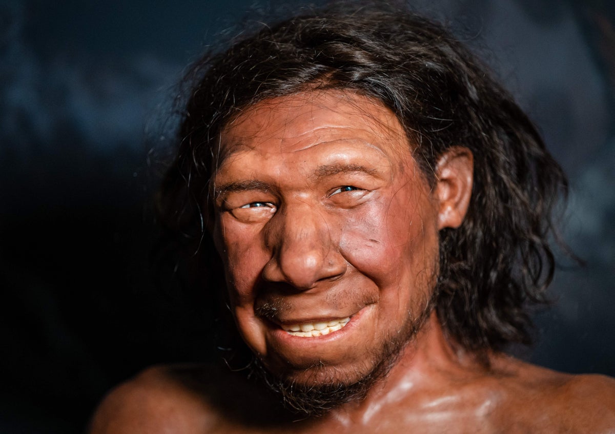 Neanderthal vitamin learn about presentations they had been extra than simply ‘primitive cave dwellers’ 3