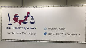 The suspended MH17 probe – RT International Information 15