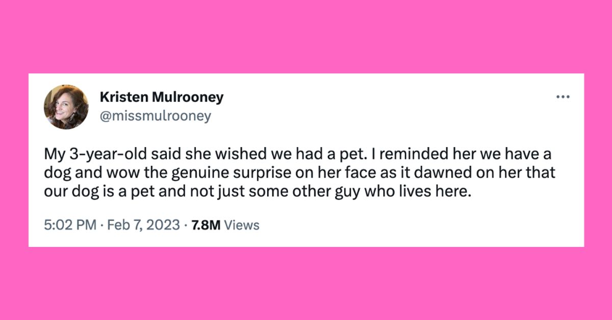 22 of the funniest tweets about cats and canine this date 3