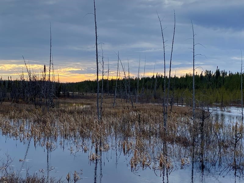 Caution advised as mining companies are eyeing critical minerals beneath Quebec’s boreal forest 21