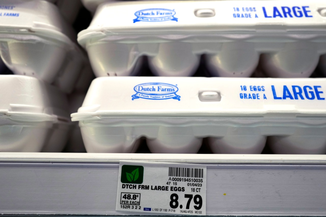 No end in sight for bird flu outbreak causing skyrocketing egg prices 3