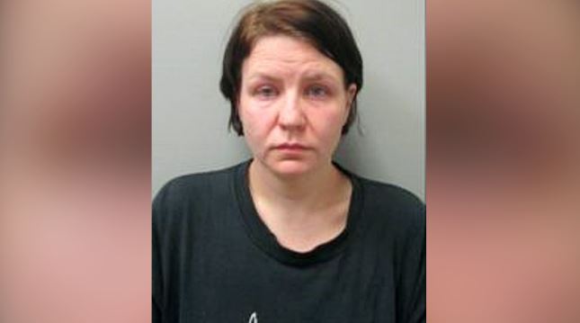 Ultimate arguments anticipated in lawsuit towards Madison County mom charged in taking pictures dying of 1-year-old kid 7