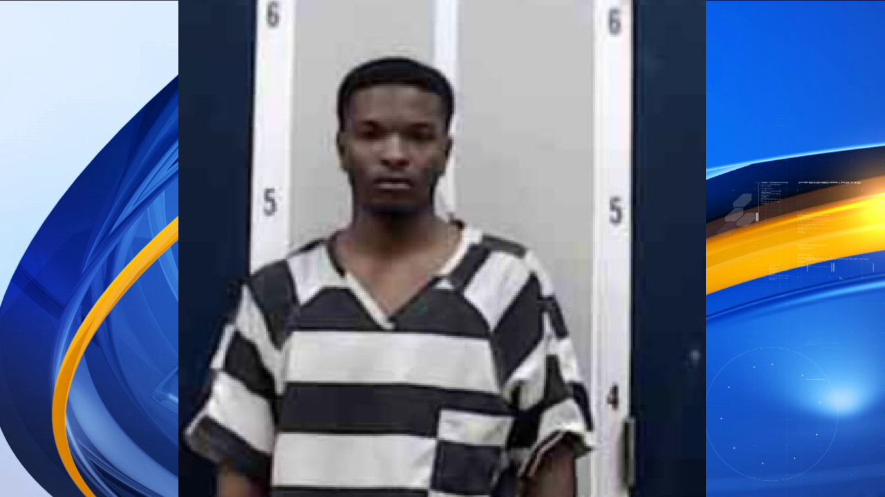 Dekalb County guy arrested for ‘interfering with police custody’ 19