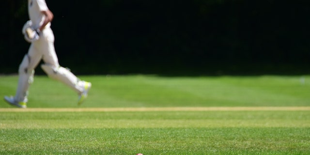 Parents demand answers after transgender woman played cricket against girls as young as 12: ‘Unacceptable’ 5