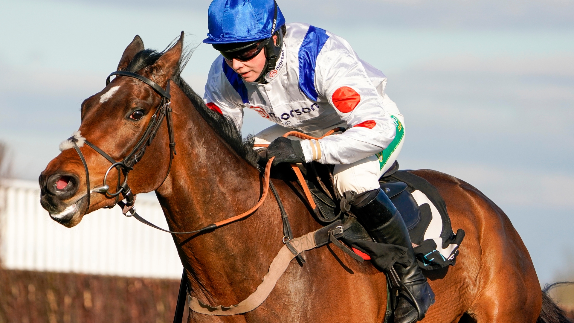 Betfair Tremendous Saturday pointers at Newbury as McFabulous, Hitman and Greeneteen trait for Paul Nicholls 5