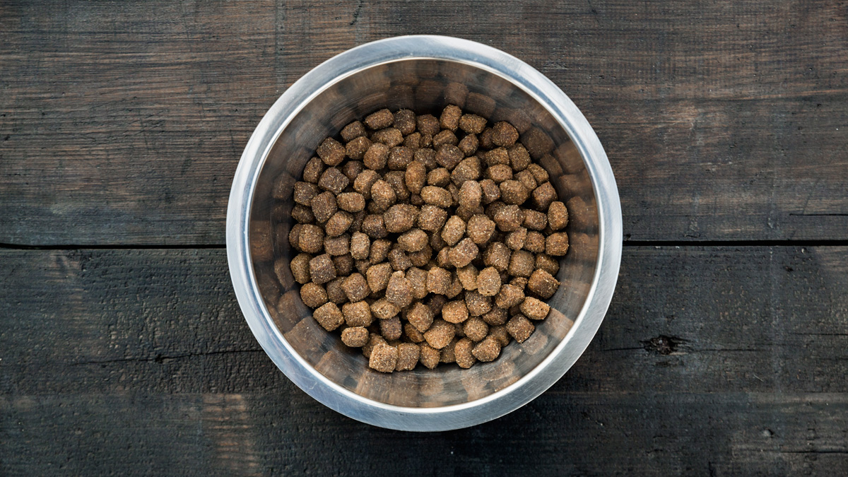 Purina problems recall for sure prescription canine meals – NBC Chicago 3