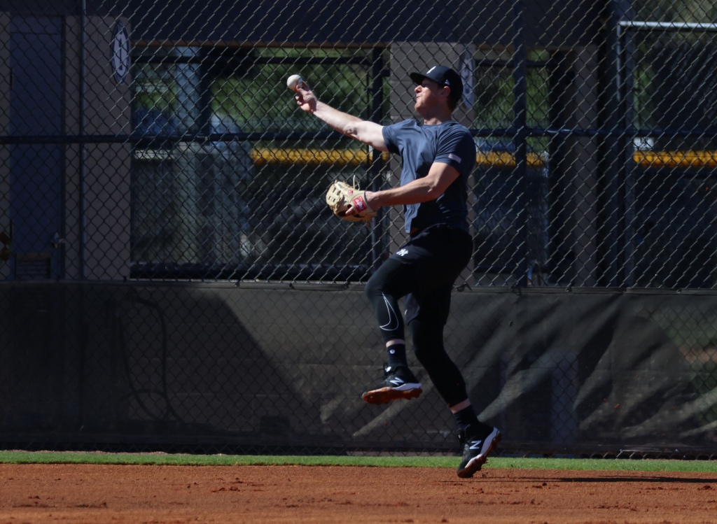 Yankees DJ LeMahieu ‘so excited’ about recovery from injury 21