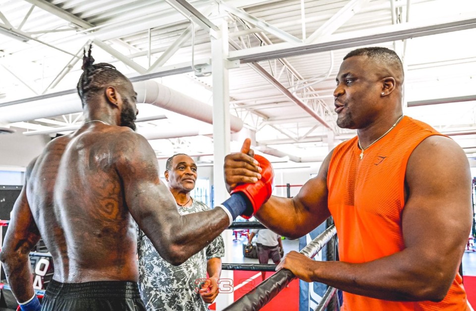 Deontay Wilder deals Francis Ngannou a two-fight trade in together with an MMA bout as Dillian Whyte accuses him of ‘jumping on the bandwagon’ 15