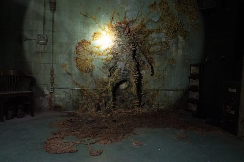 Could the “zombie mushroom” from The Last of Us exist in real life? 3