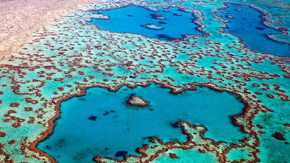 Australia closes coal mine to protect Great Barrier Reef 21