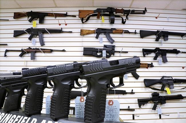 Illinois gun ban provokes legislative shortcuts 17