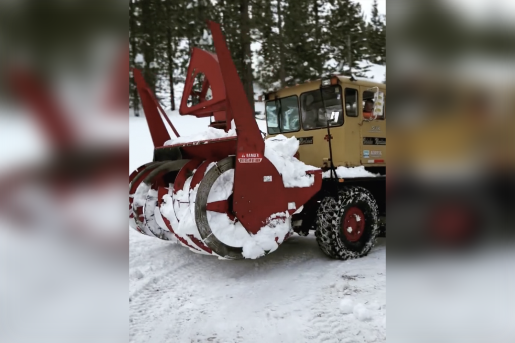 Evangeline Lilly says Jeremy Renner makes use of a wheelchair: ‘A direct miracle’ 21