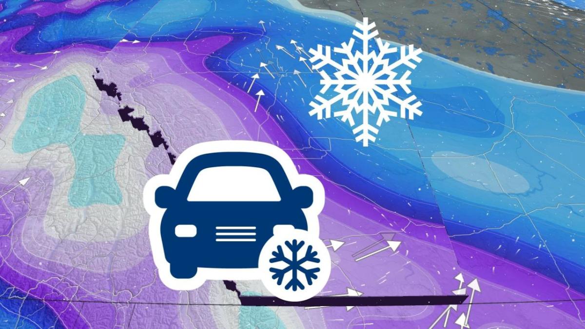 Winter returns: Alberta sees heavy snow, bitter cold blankets the prairie 3