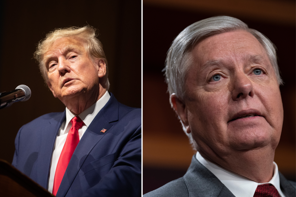 Lindsey Graham answers a question about perjury during testimony in Georgia 11