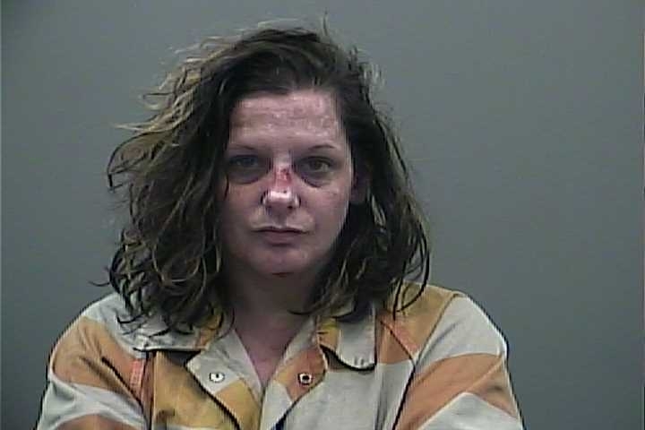 A murder trial is set for a mother accused of leaving a one-year-old child in a vehicle while diving into a dumpster 23