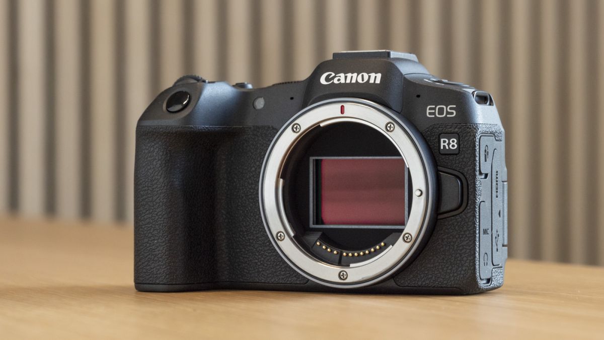 Hands on: Canon EOS R8 review – Quality performance at a friendly price 3