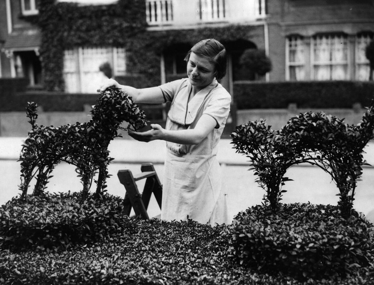 Share your pet-inspired artwork with NPR: NPR 1