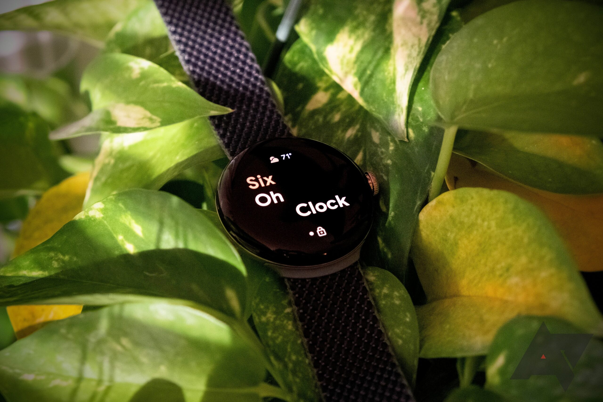 "Unlock New Possibilities: The Google Pixel Watch is Under $300!" 13