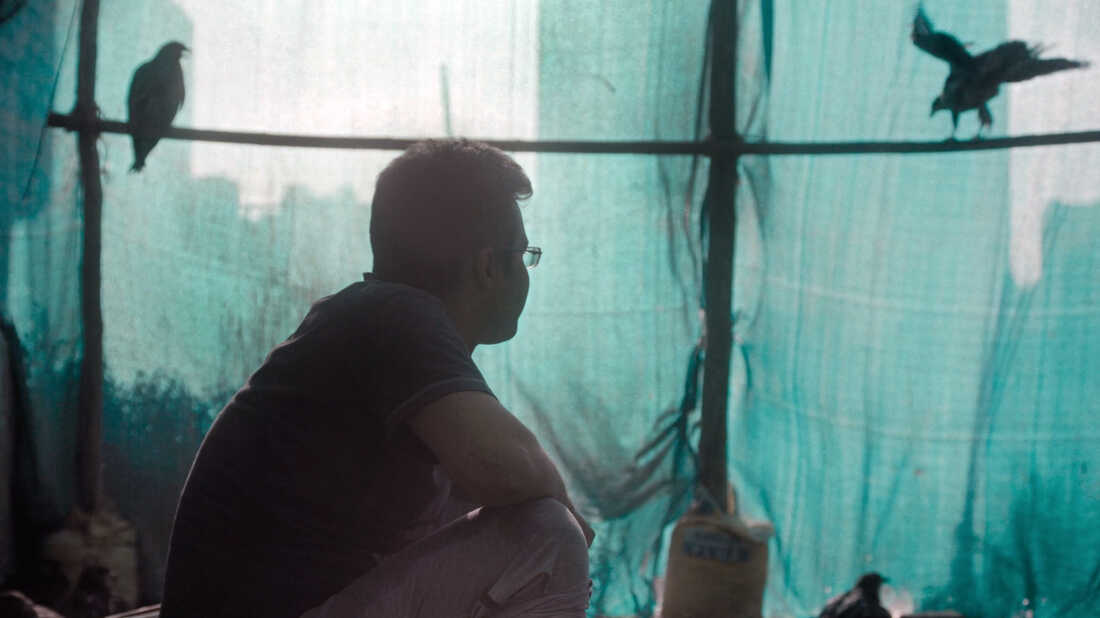 Fix Chook Documentary Bursts With Humanity: NPR 18