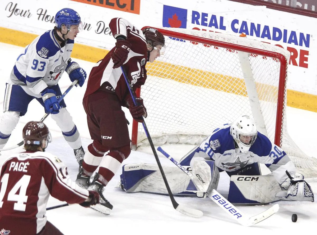 Peterborough Petes Blank visits the Sudbury Wolves for the Family Day game 3