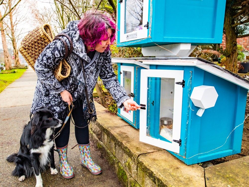 The BC Canine Library offer independent toys and treats for Vancouver’s four-legged citizens 5