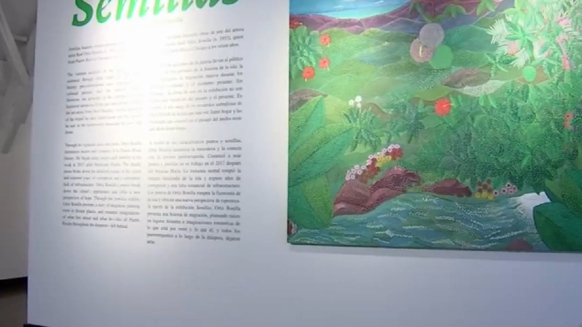 Museum of Puerto Rican Arts and Tradition Takes Guests on a Surreal Progress Via Puerto Rico’s Historical past – NBC Chicago 3