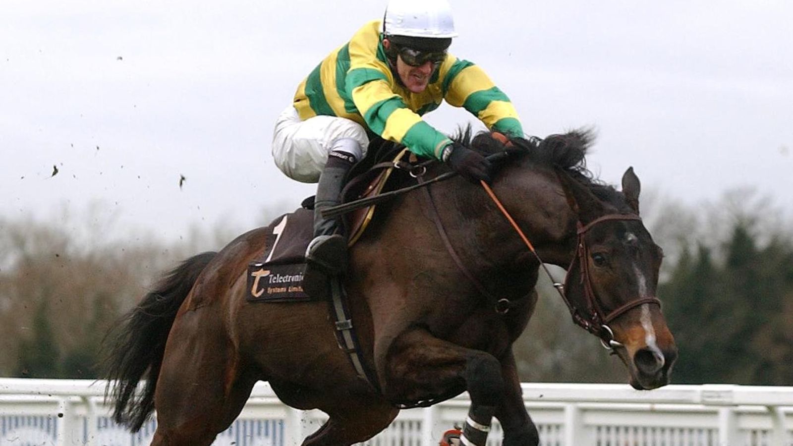 Baracouda: Twin Stayers’ Hurdle winner and four-time Lengthy Proceed hero dies elderly 28 | Race Information 17