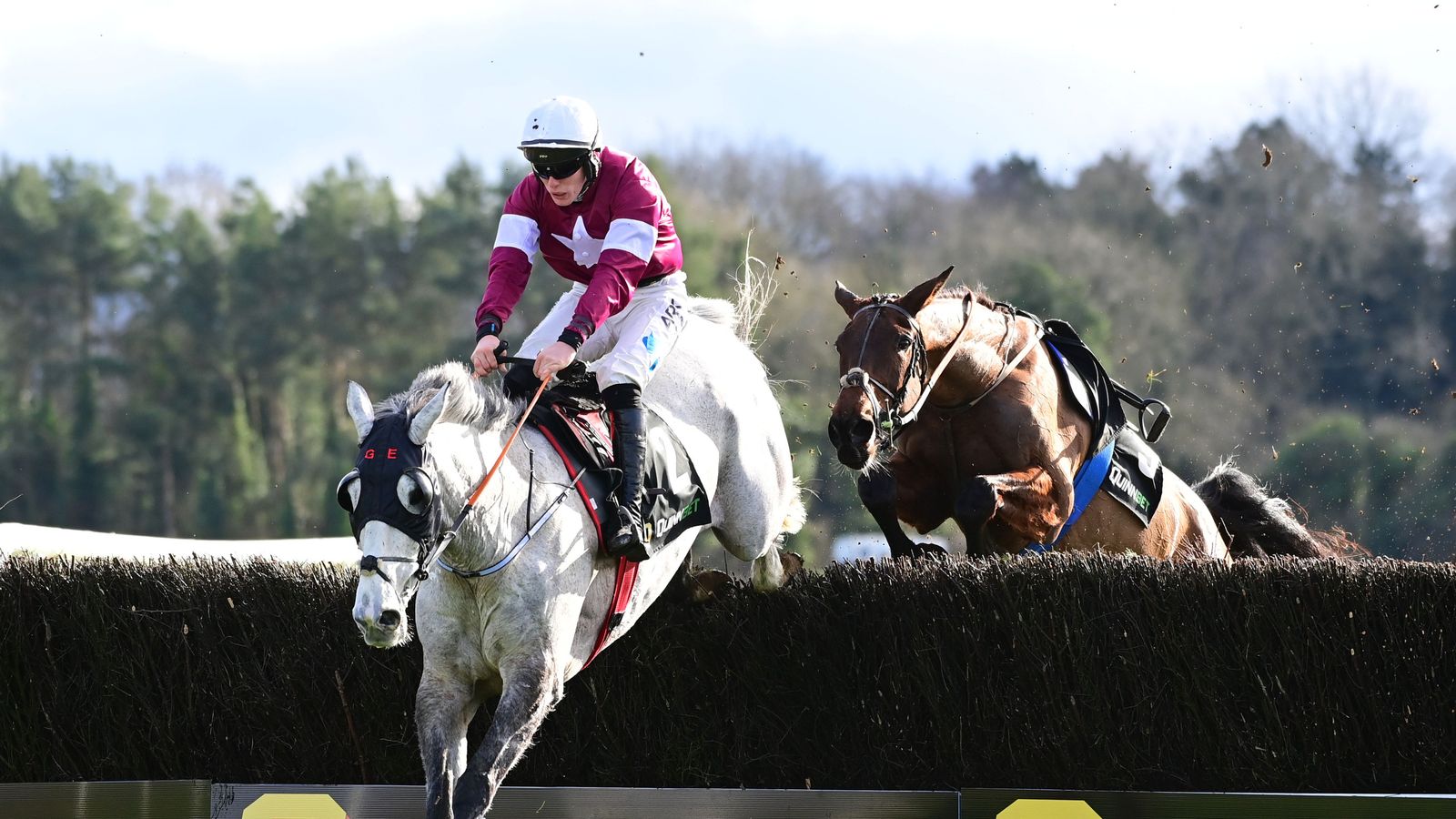 Grand National Trial: Coko Beach books Aintree comeback as Gordon Elliott finishes 1-2-3 at Punchestown | Race News 3